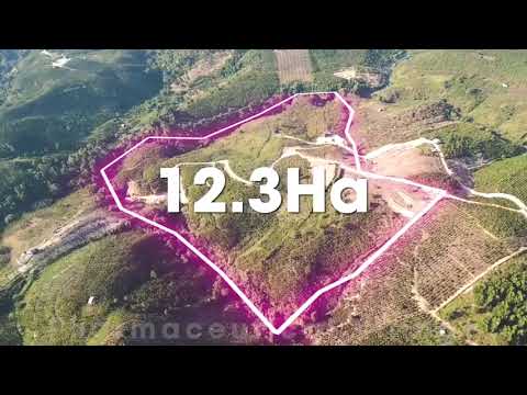 Flycam Toàn Cảnh Pharmaceutical Villa Bảo Lộc – Nghỉ Dưỡng Chuẩn Châu Âu Giữa Lâm Đồng #0934198038